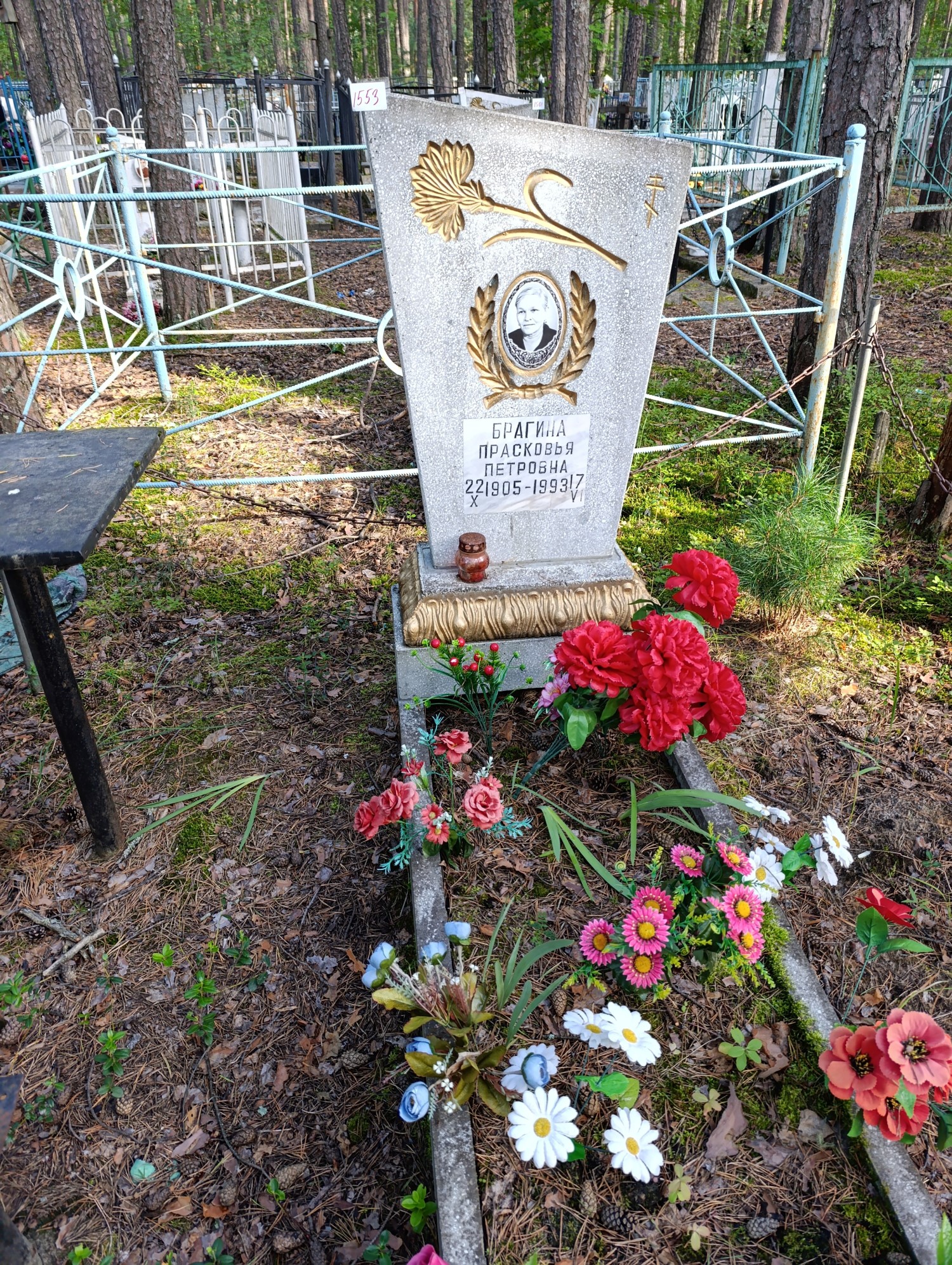 Брагина Прасковья Петровна
