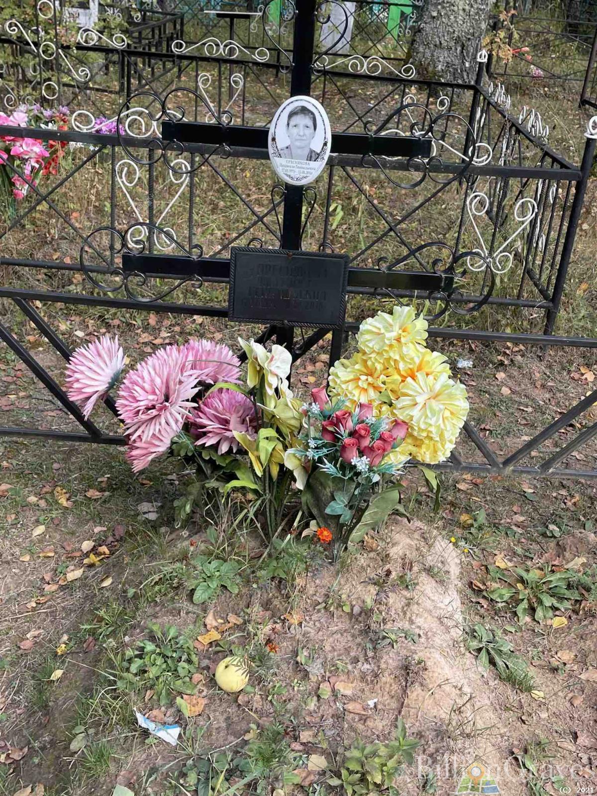 Преснякова Людмила Геннадьевна