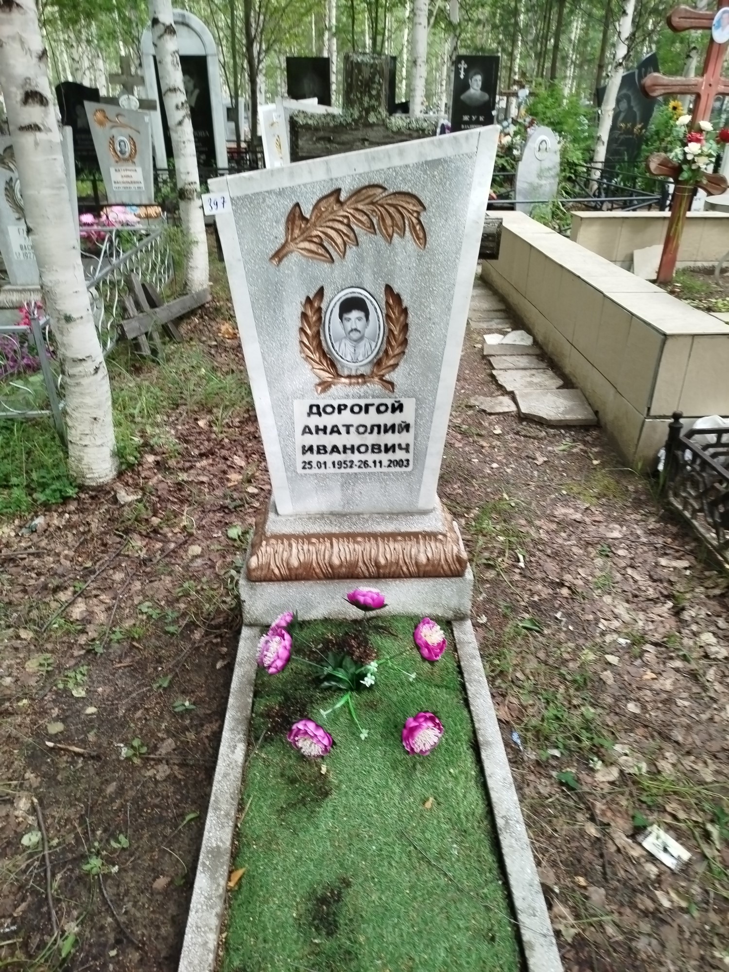 Дорогой Анатолий Иванович