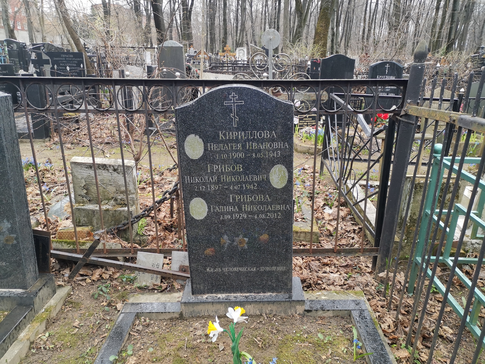 Грибова Галина Николаевна