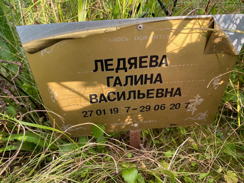 Ледяева