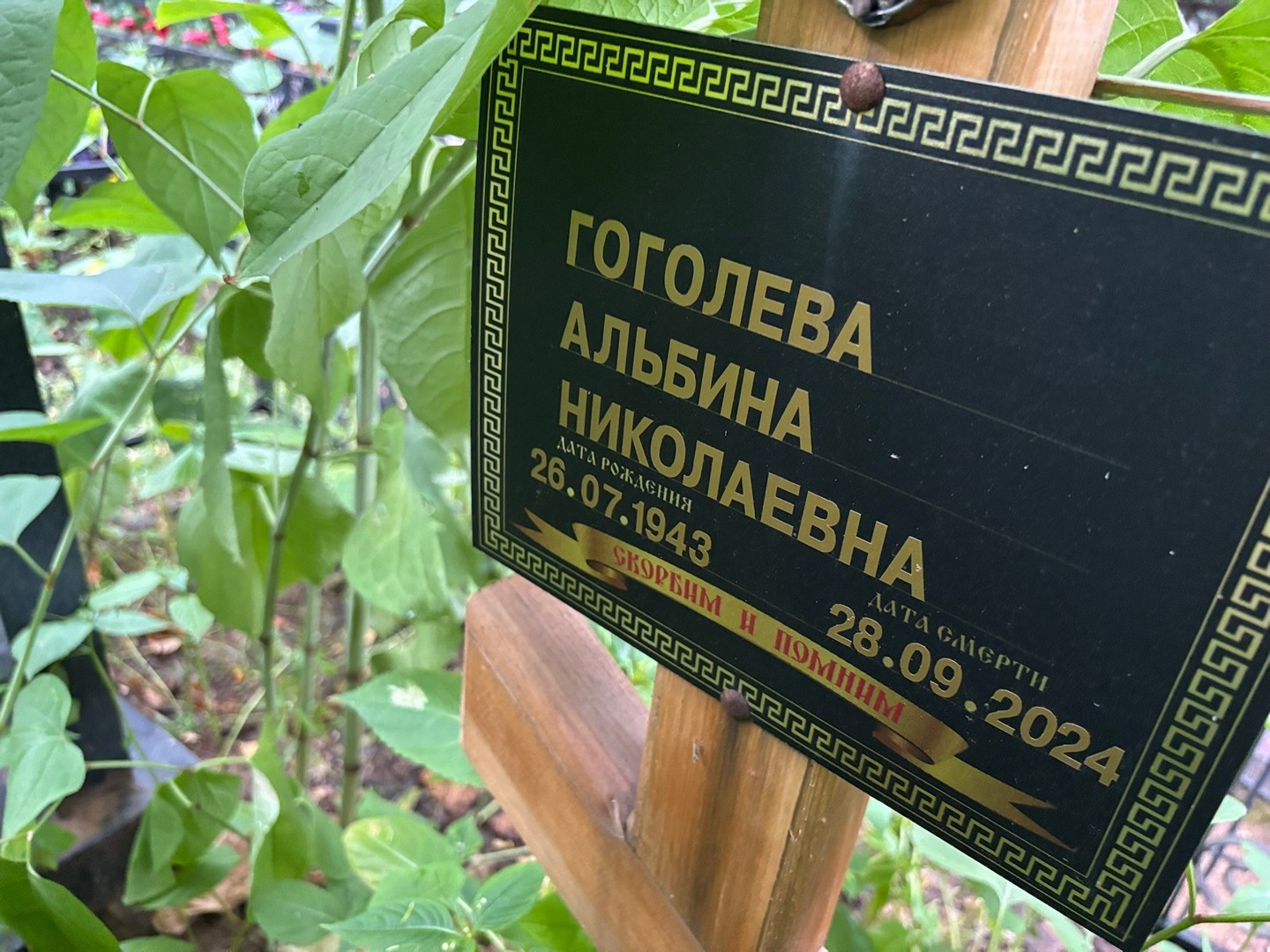 Альбина Гоголева Николаевна