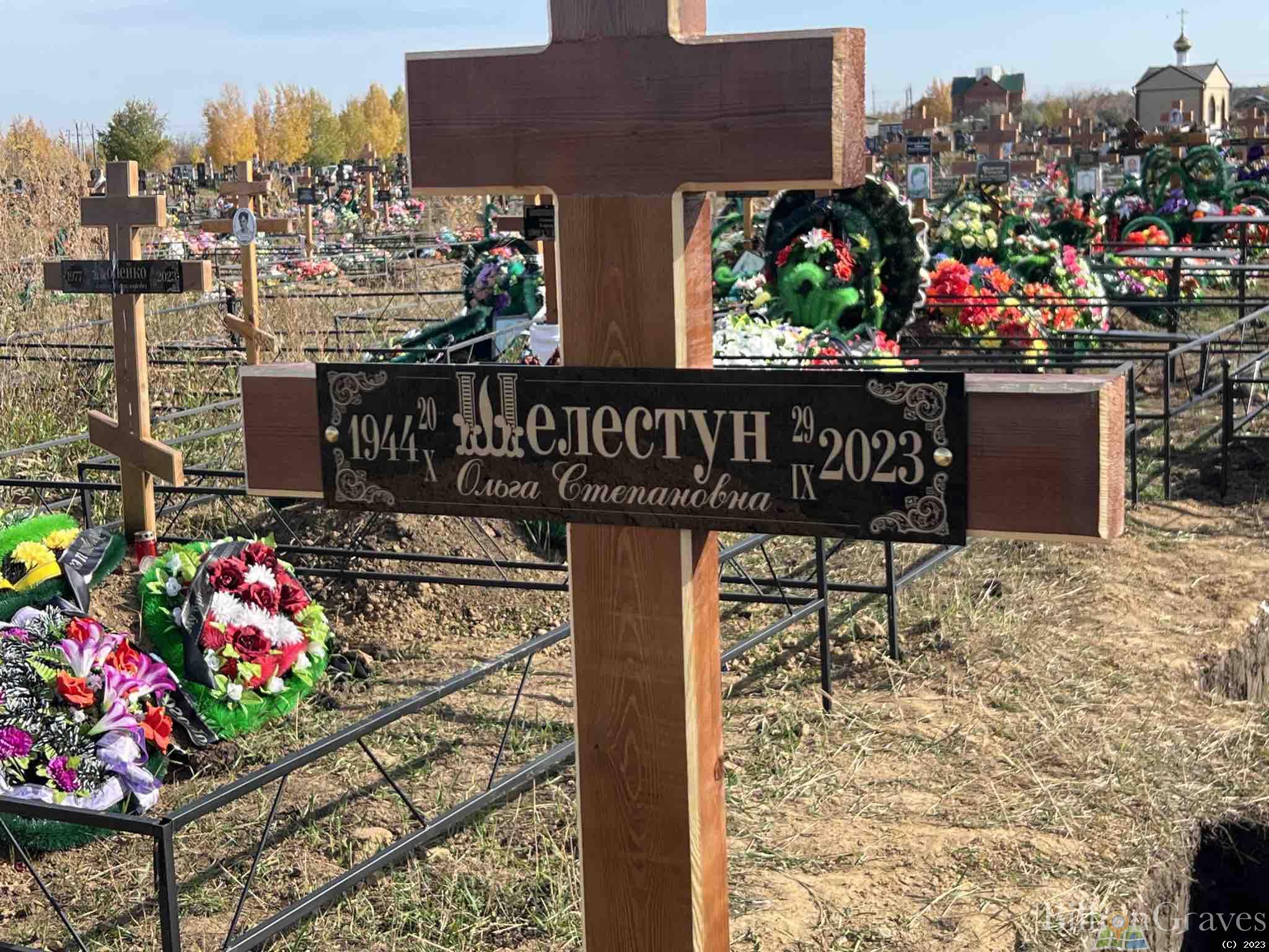 Шелестун Ольга Степановна
