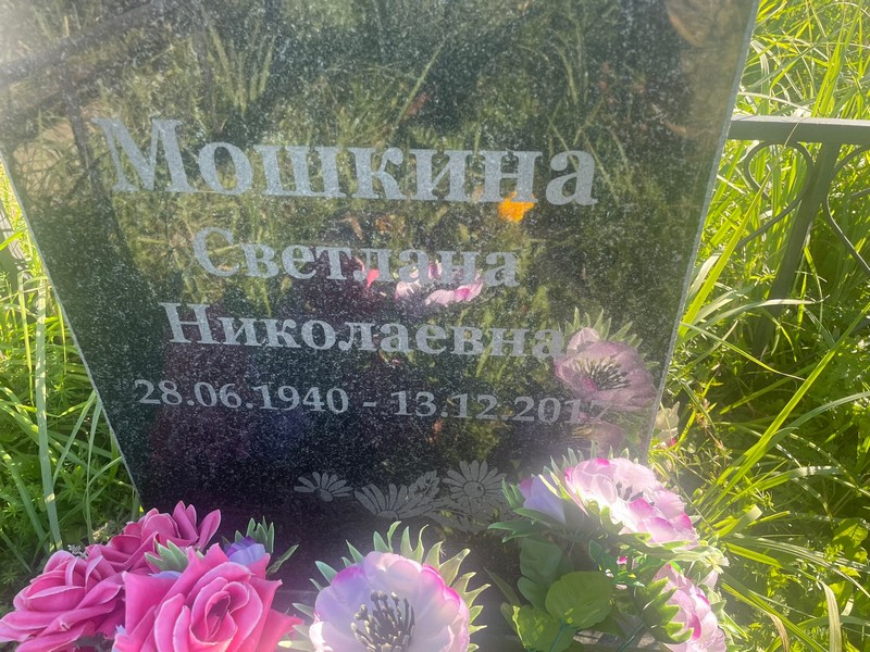 Мошкина