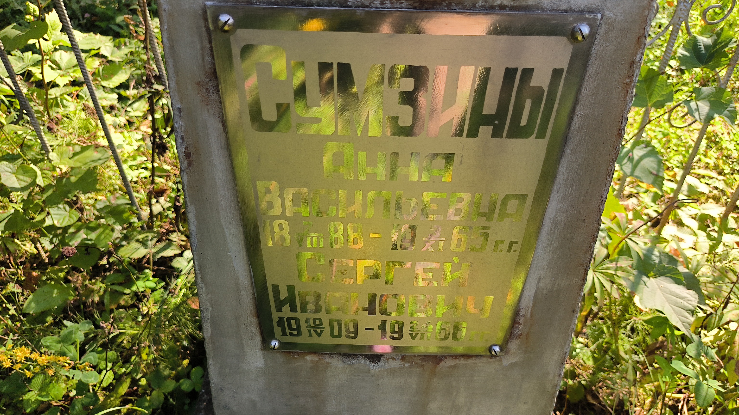 Сумзина Анна Васильевна