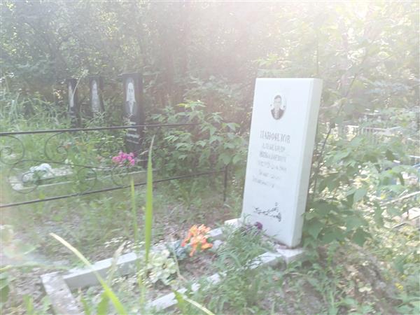 Панфилов Александр Николаевич