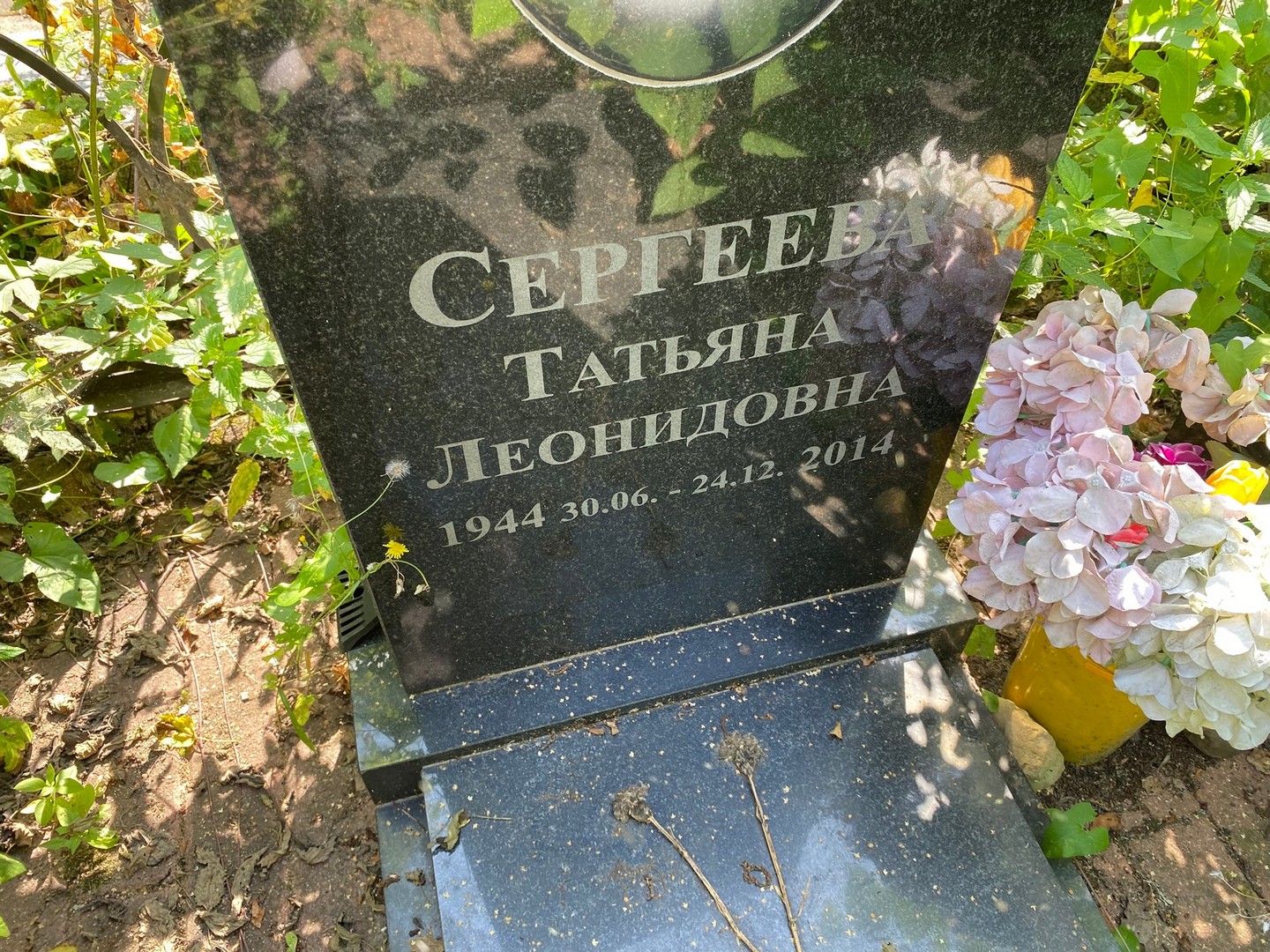 Сергеева