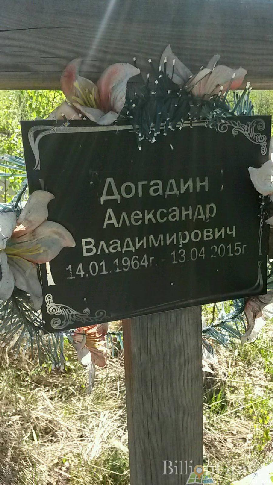 Догадин Александр Владимирович
