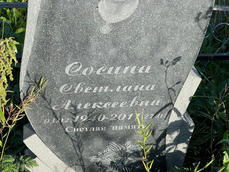 Сосина