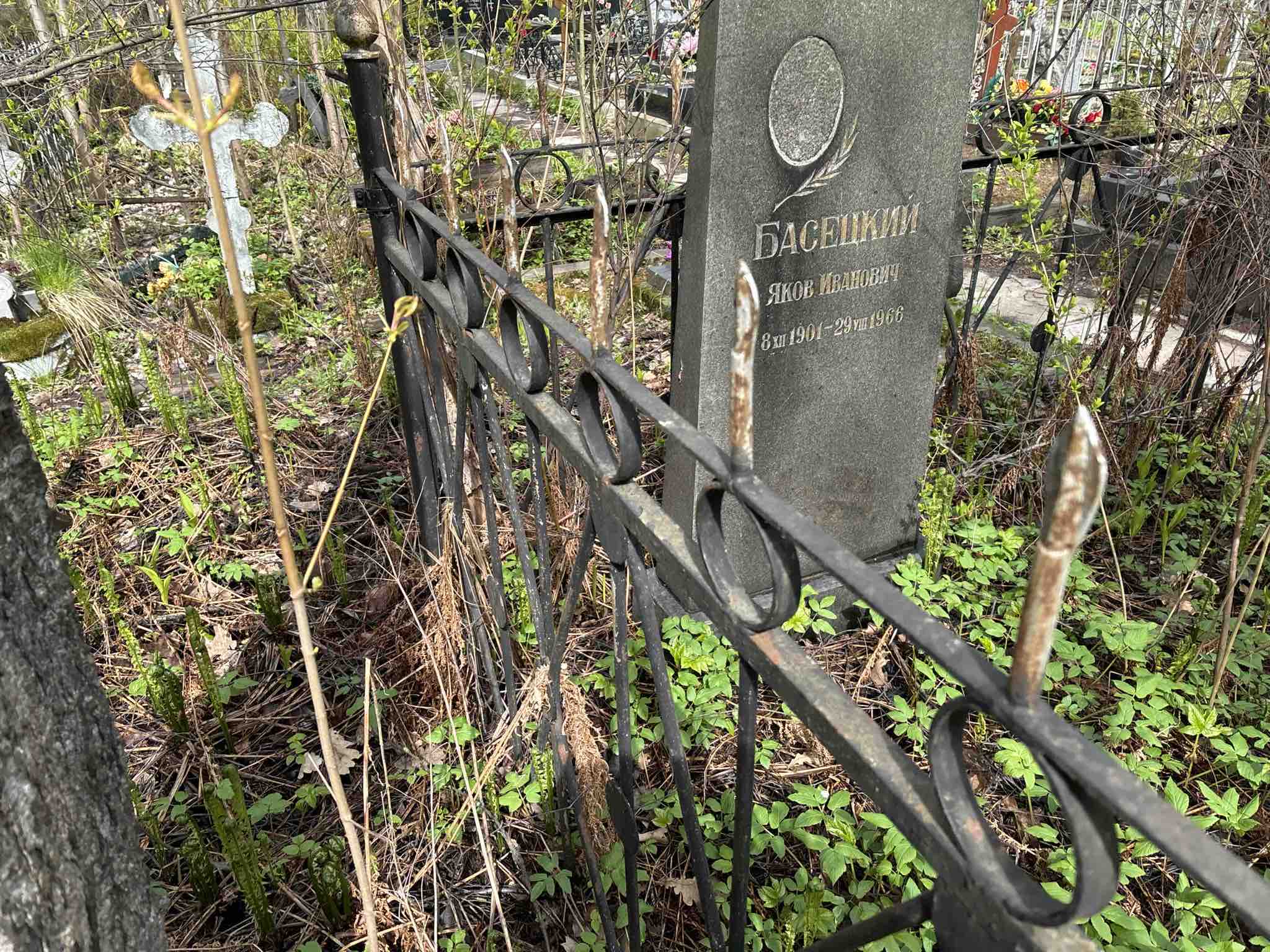 Басецкий Яков Иванович