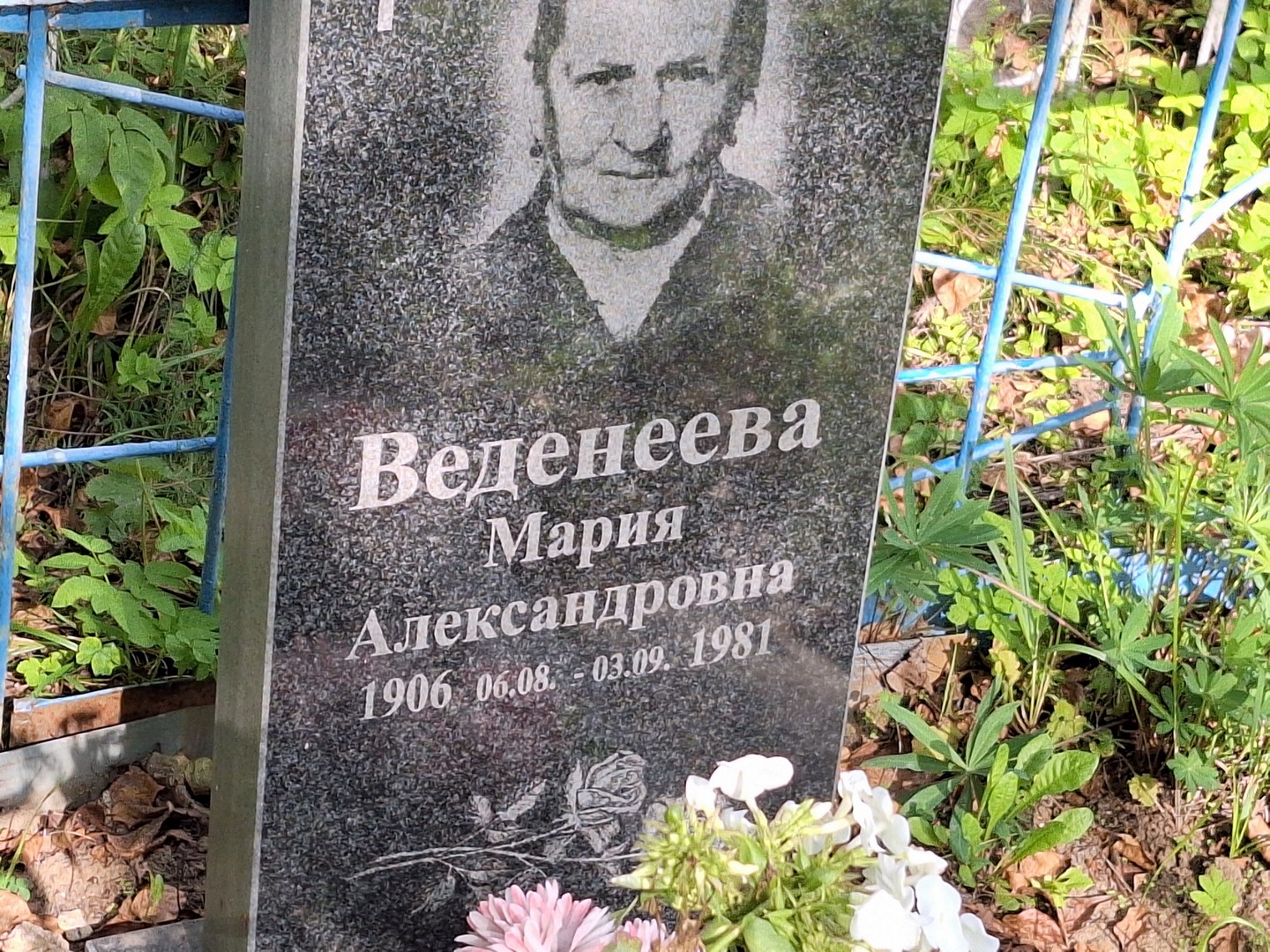 Веденеева