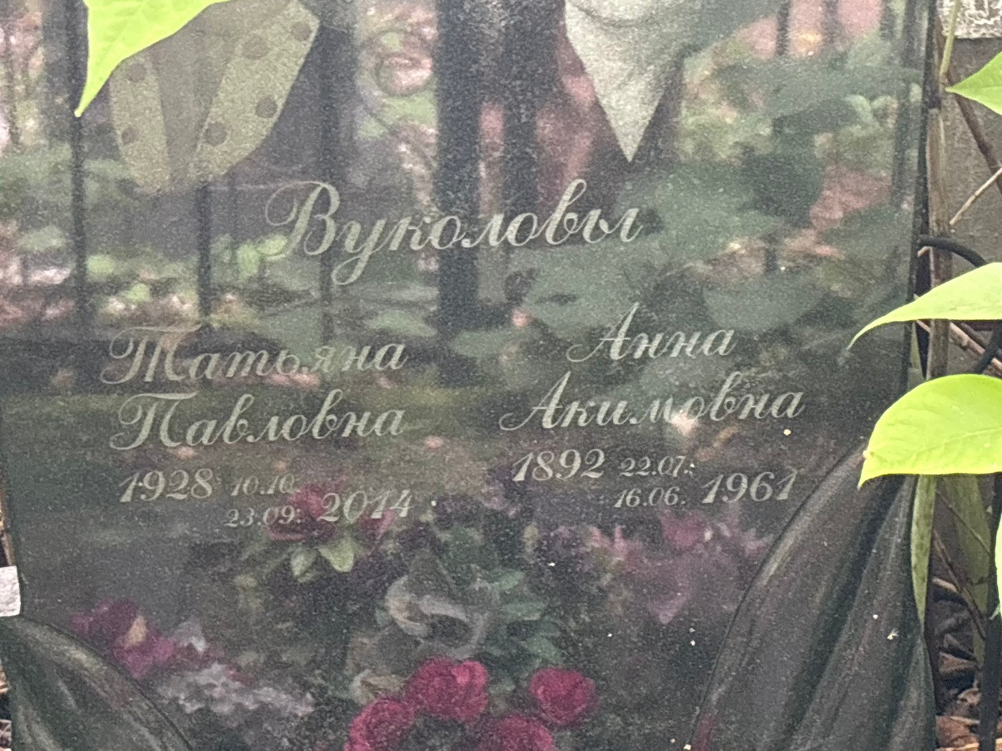 Вуколова