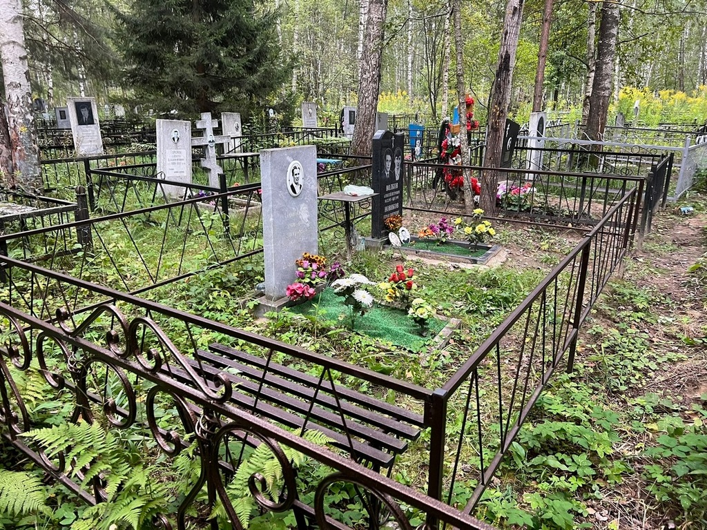 Новиков Дмитрий Дмитриевич