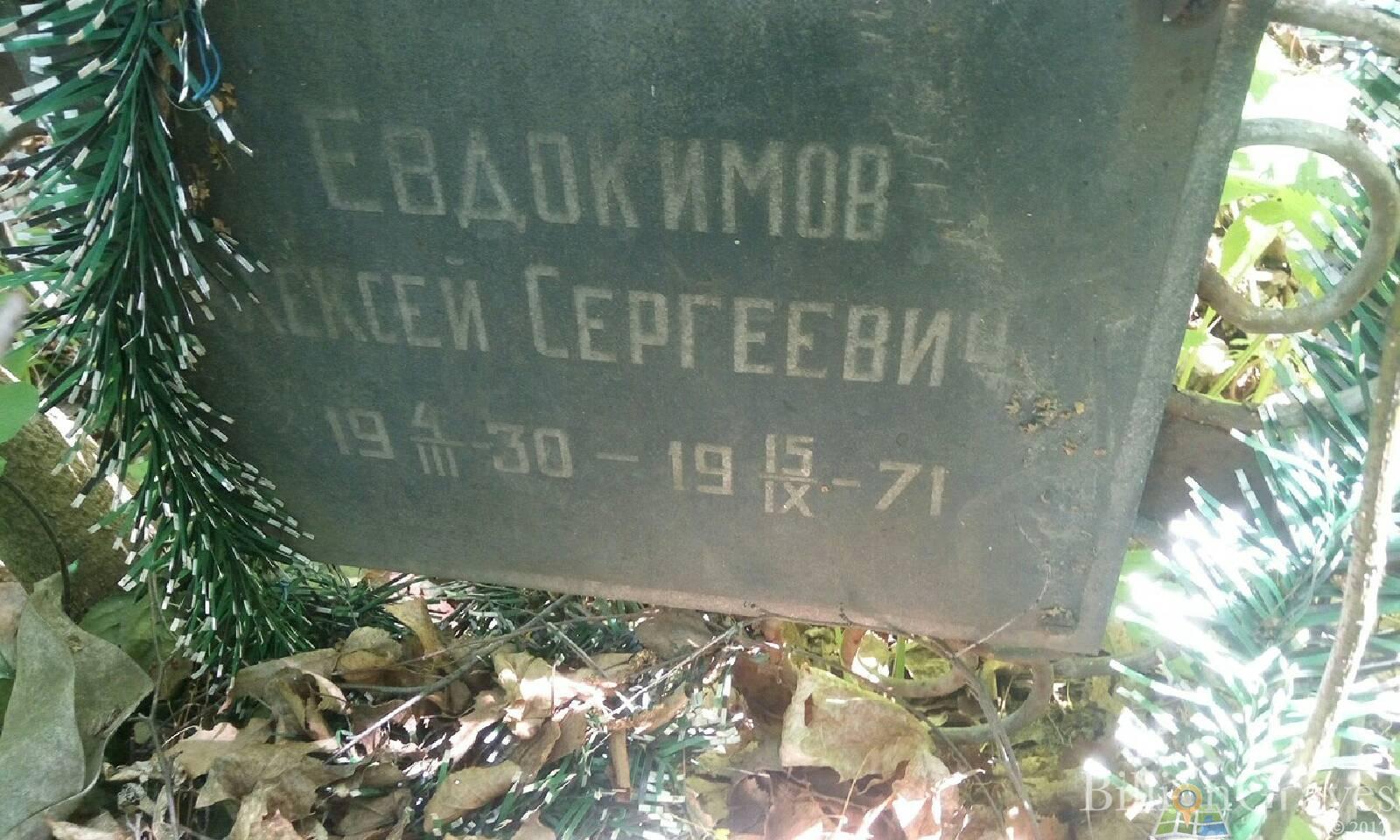 Евдокимов Алексей Сергеевич