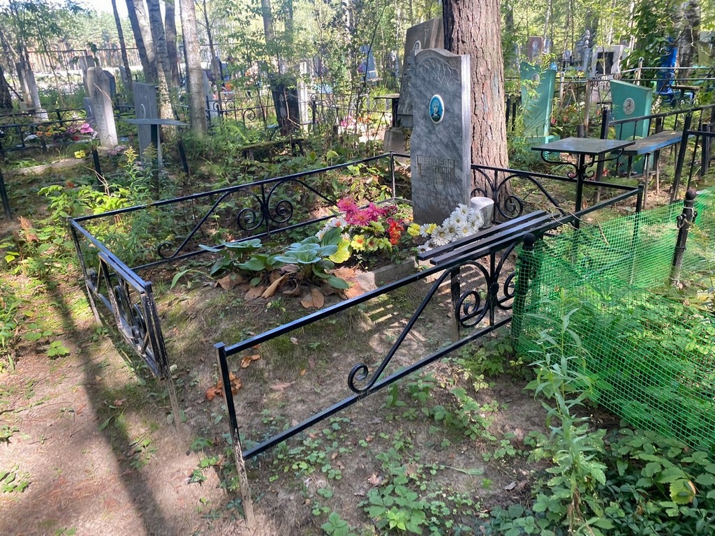 Шулаева Алевтина Павловна