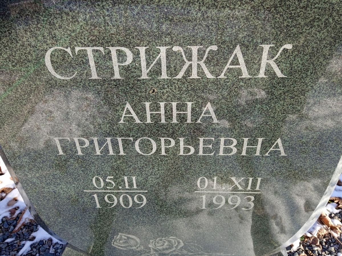 Стрижак Анна Григорьевна