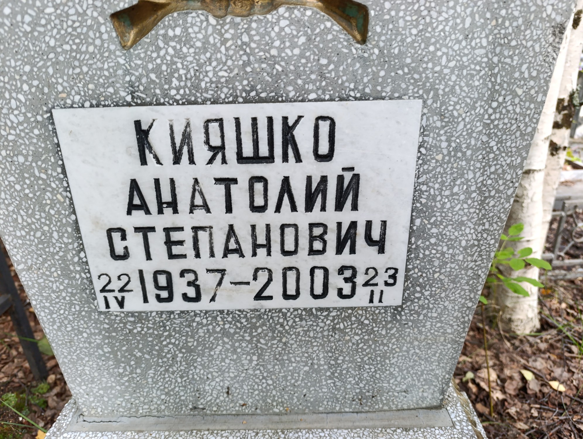 Кияшко Анатолий Степанович