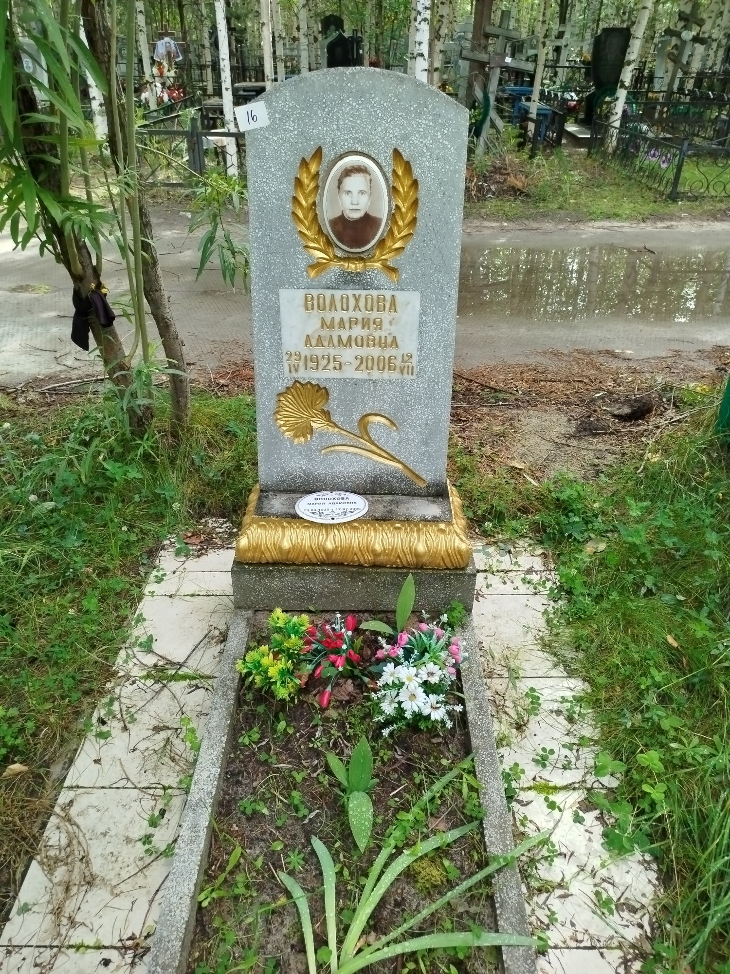 Волохова Мария Адамовна