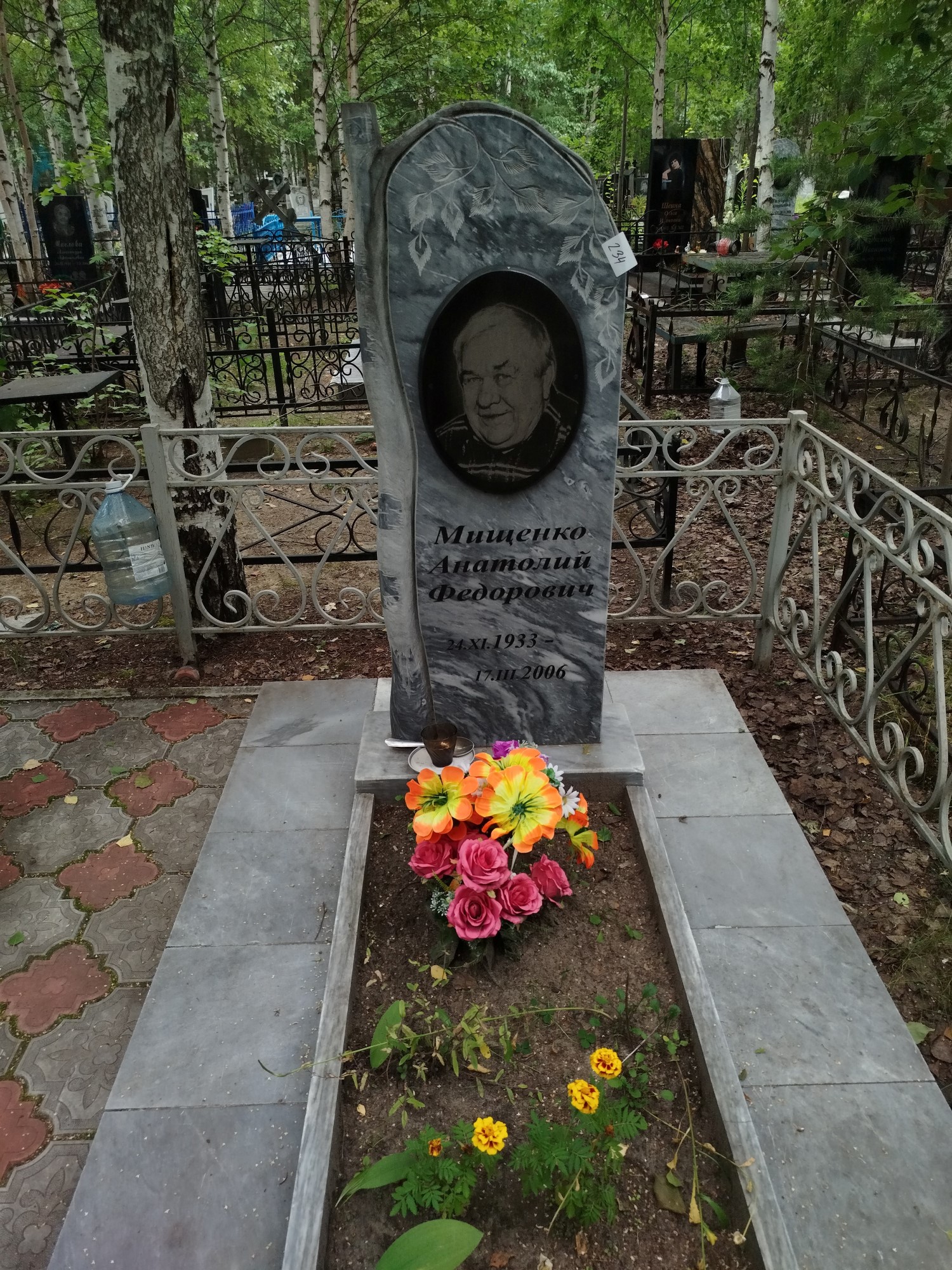 Мищенко Анатолий Федорович