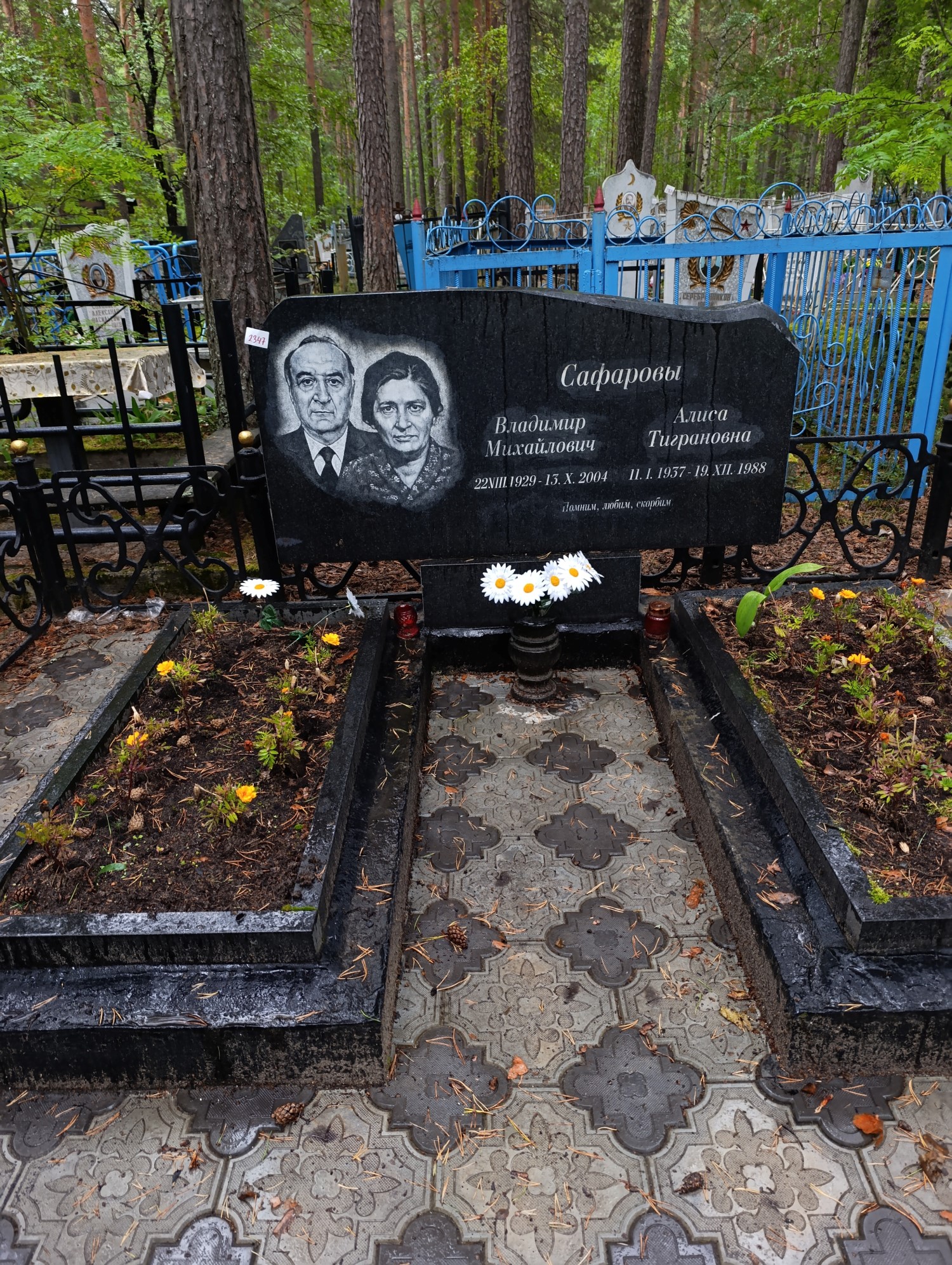 Сафронова Алиса Тиграновна