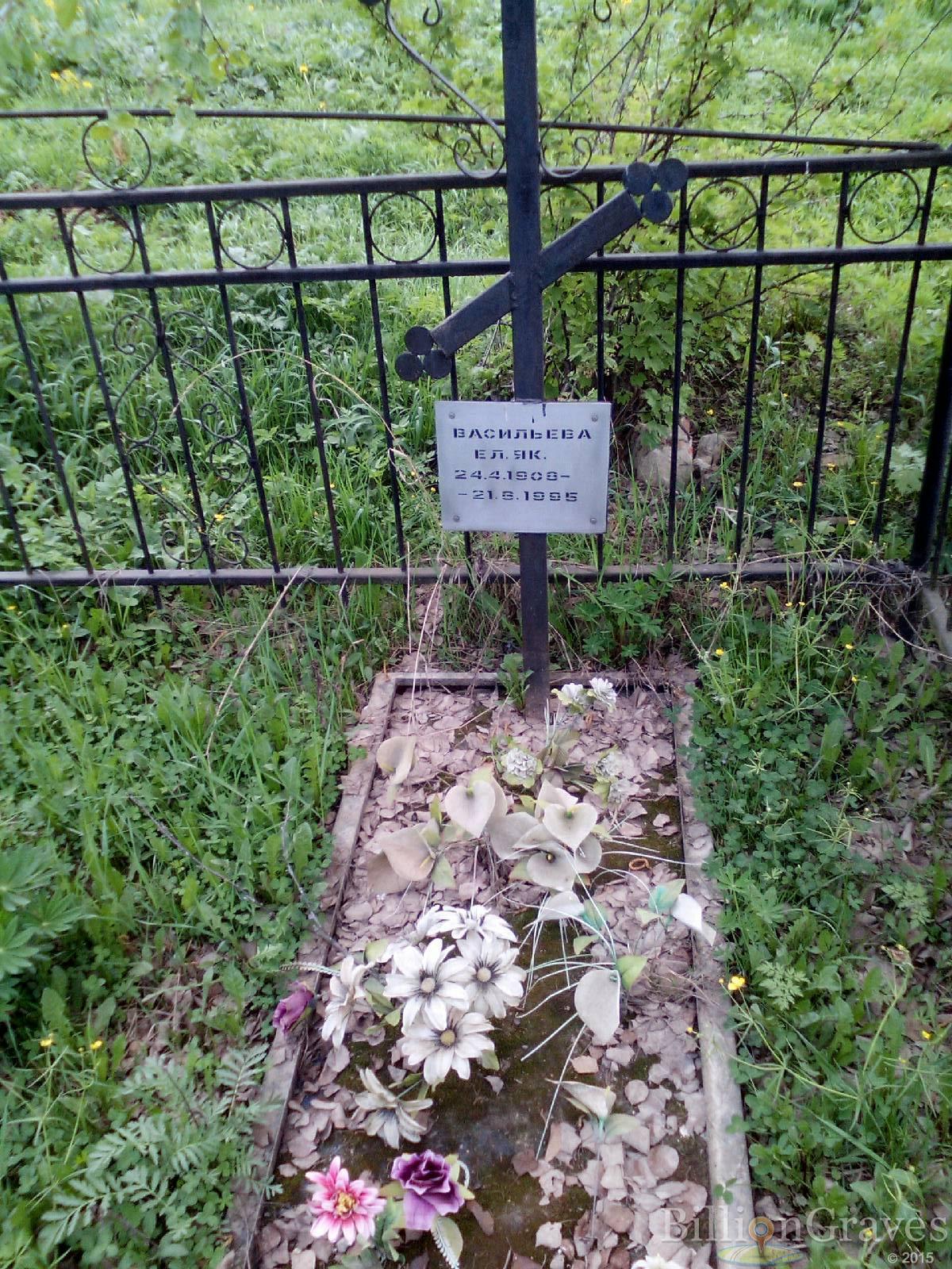 васильева елена яковлевна