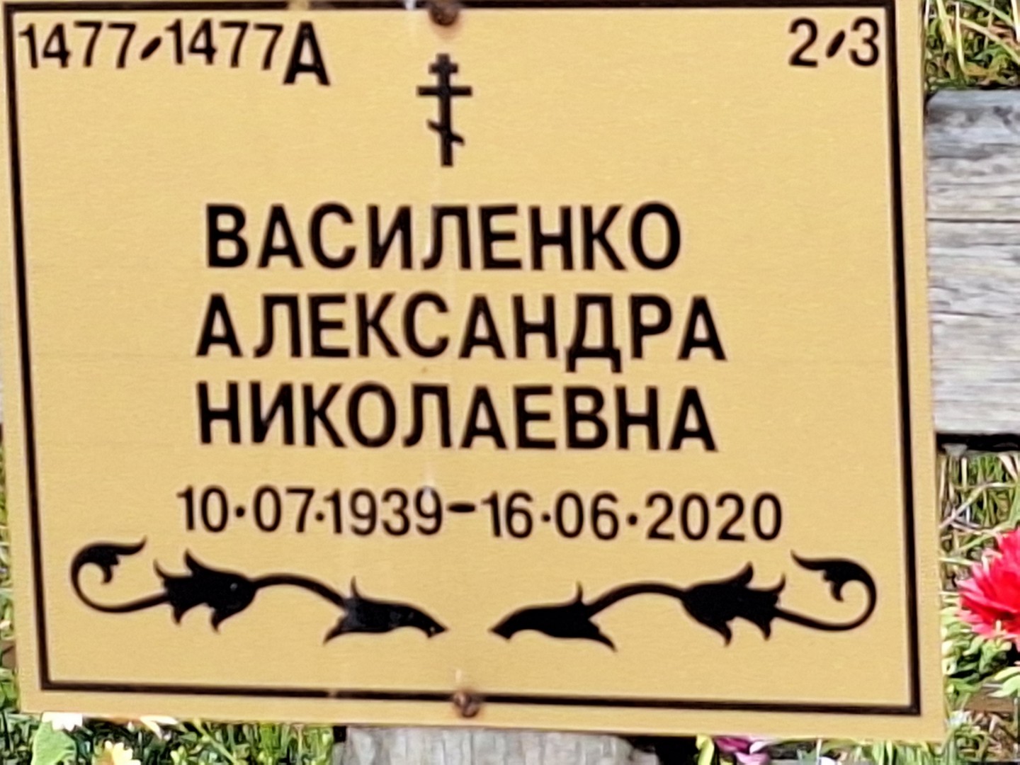 Александра Василенко Николаевна