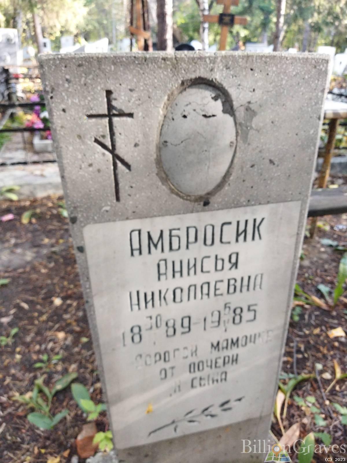 Амбросик Анисья Николаевна