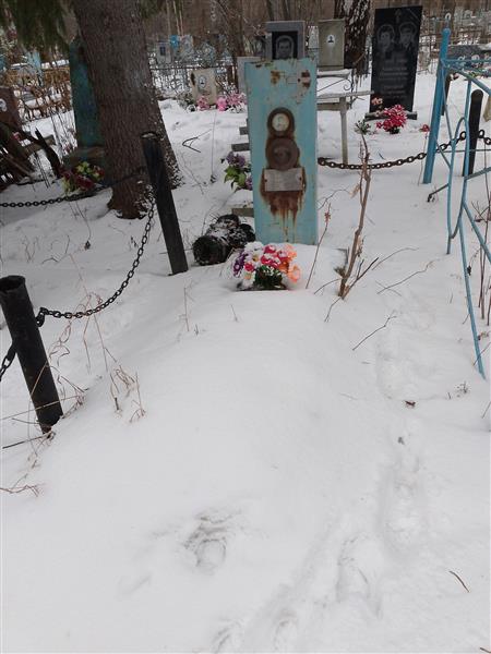 Трубехин Николай Александрович