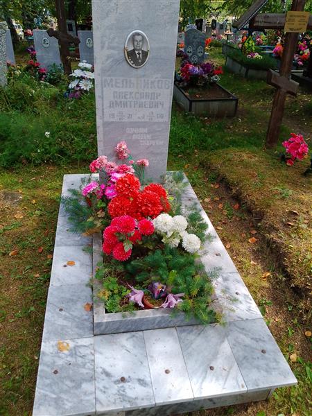 Мельников Александр Дмитриевич