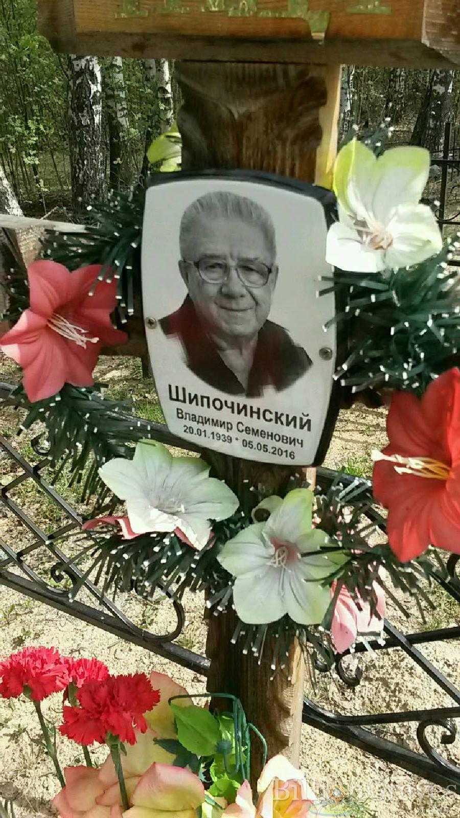 шипочинский владимир семенович