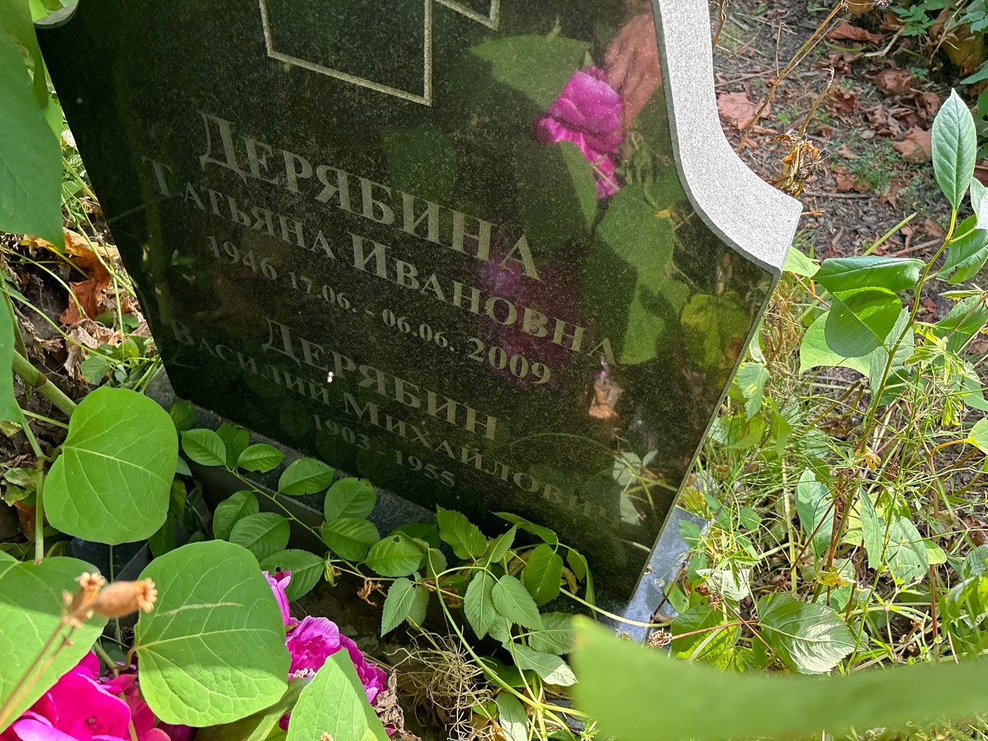 Дерябина