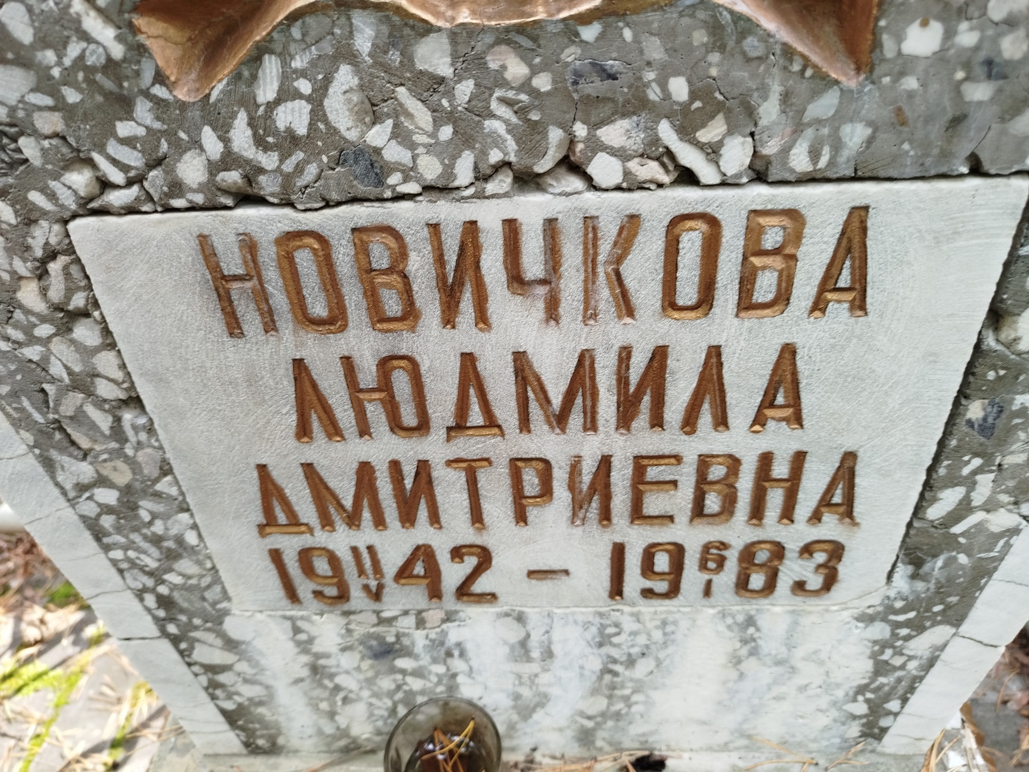 Новичкова Людмила Дмитриевна