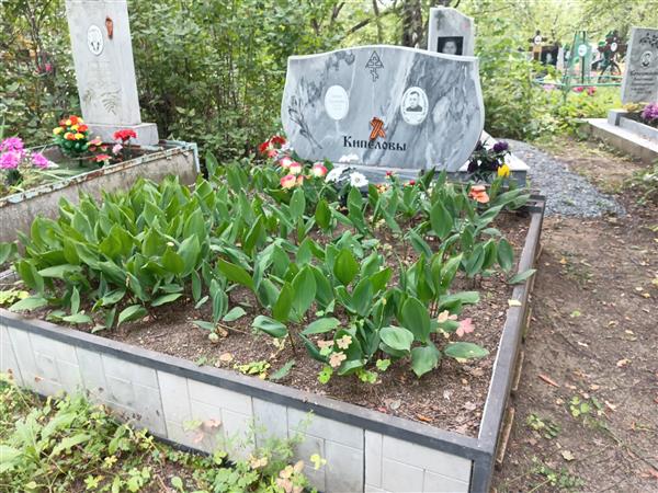 Кипелов Василий Никитович