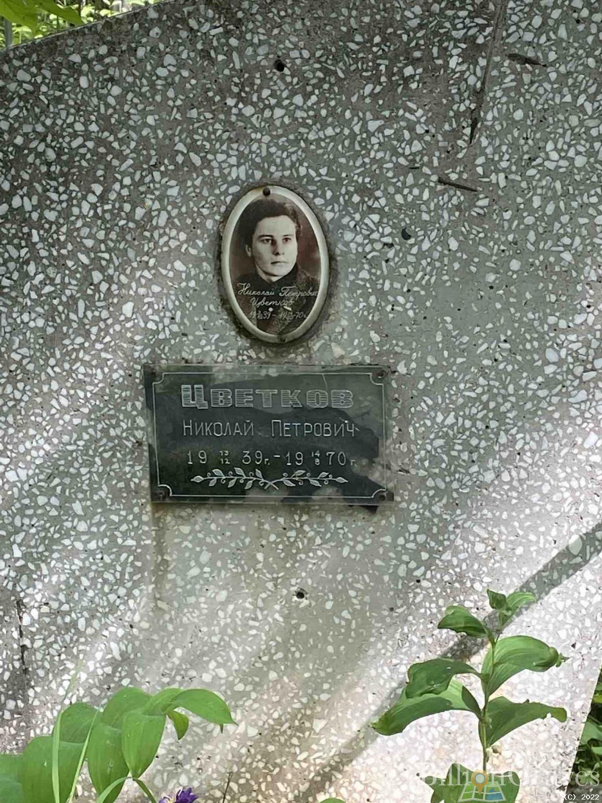 Цветков Николай Петрович
