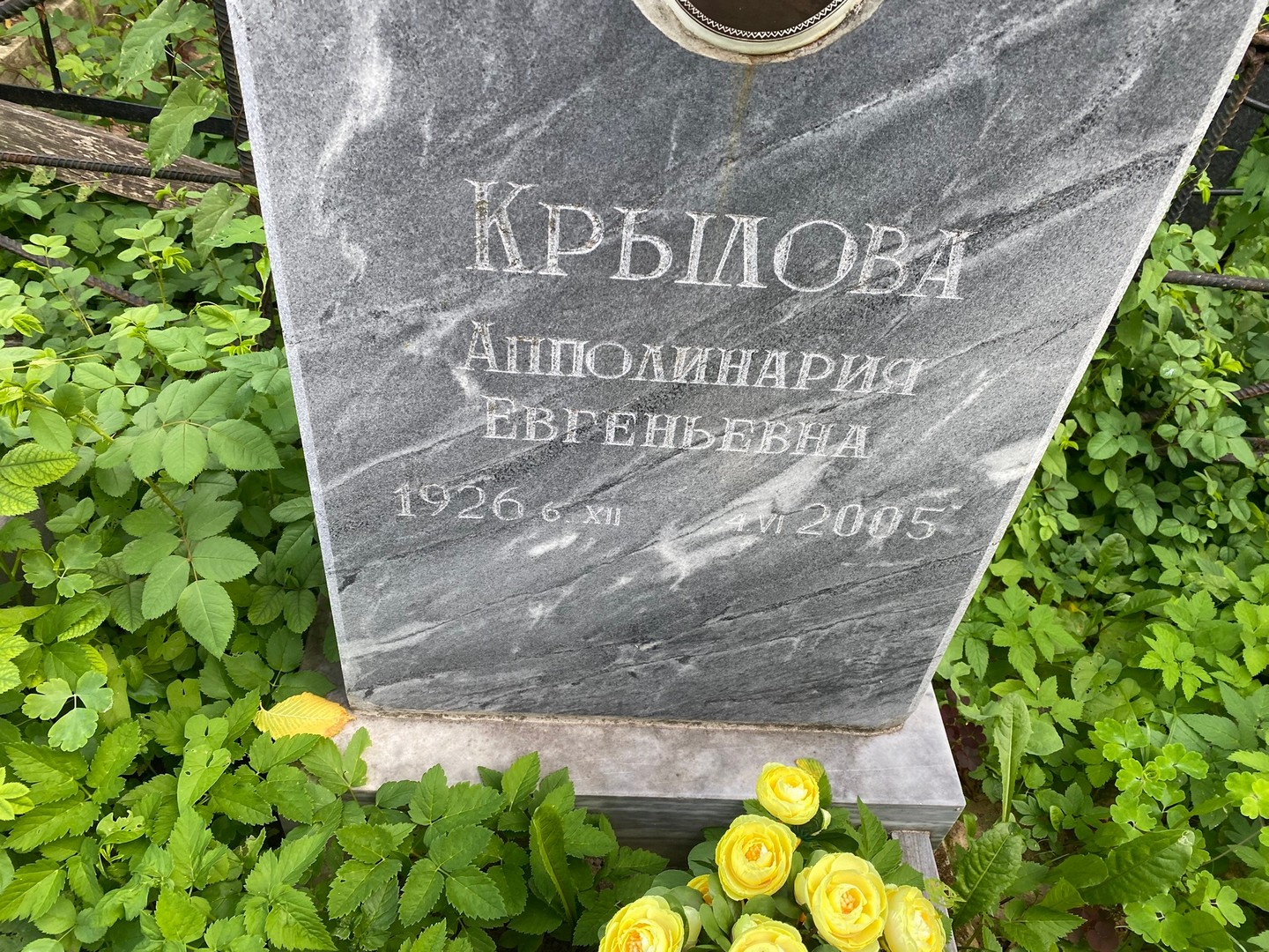 Апполинария Крылова Евгеньевна