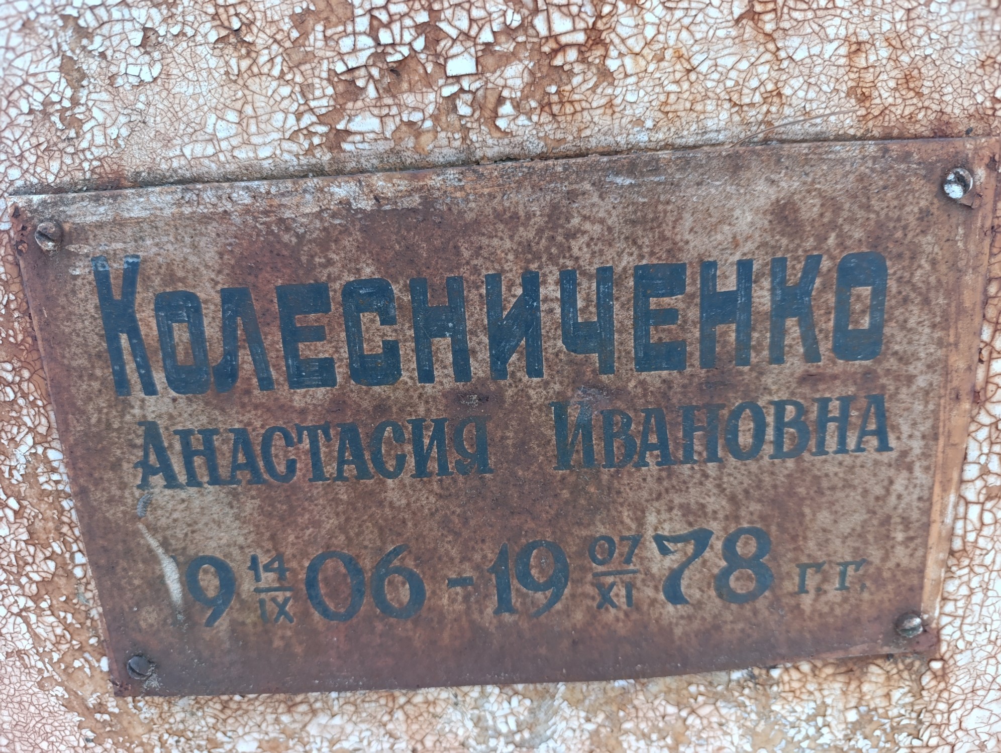 Колесниченко Анастасия Ивановна