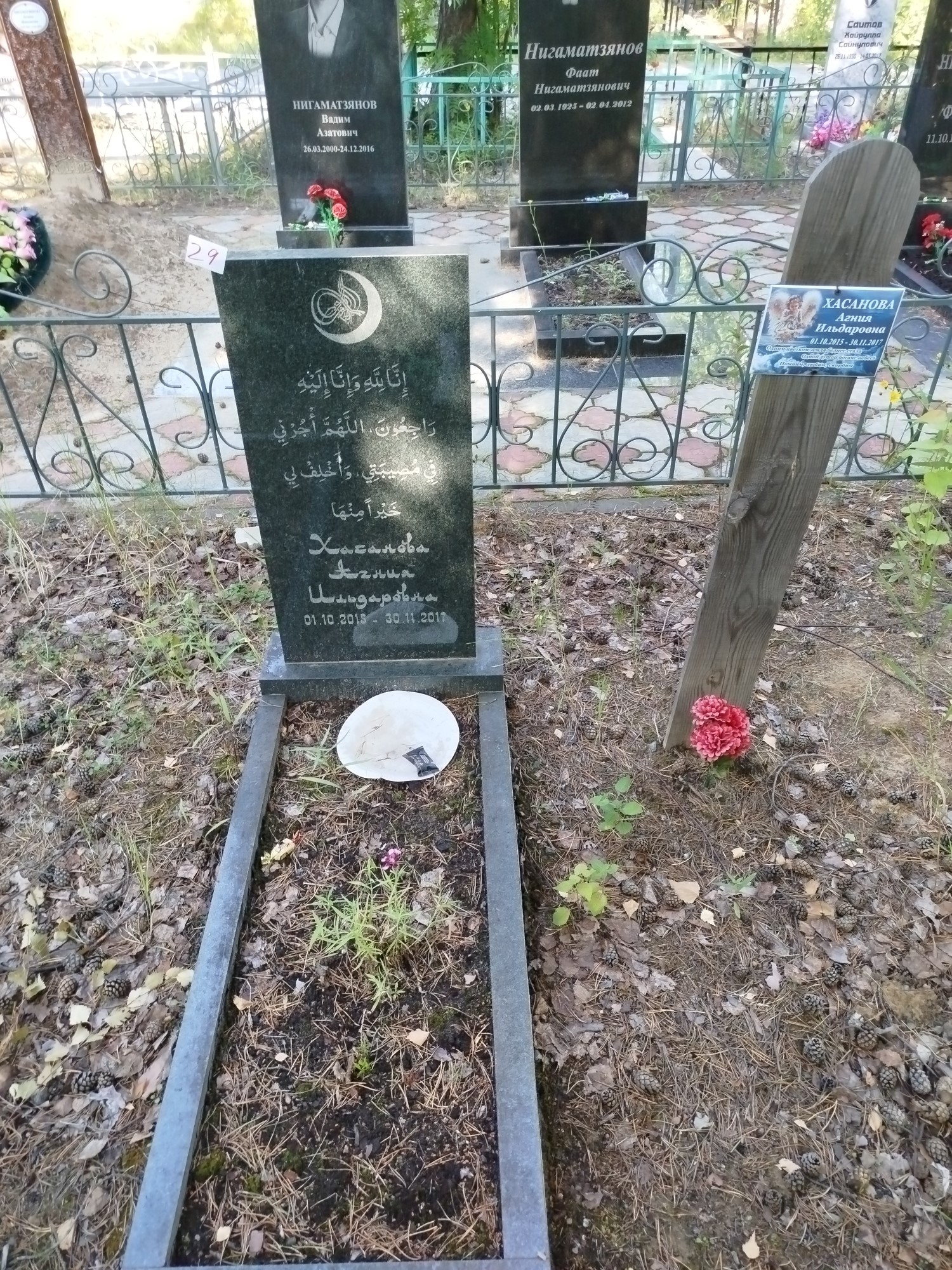 Хасанова Агния Ильдаровна