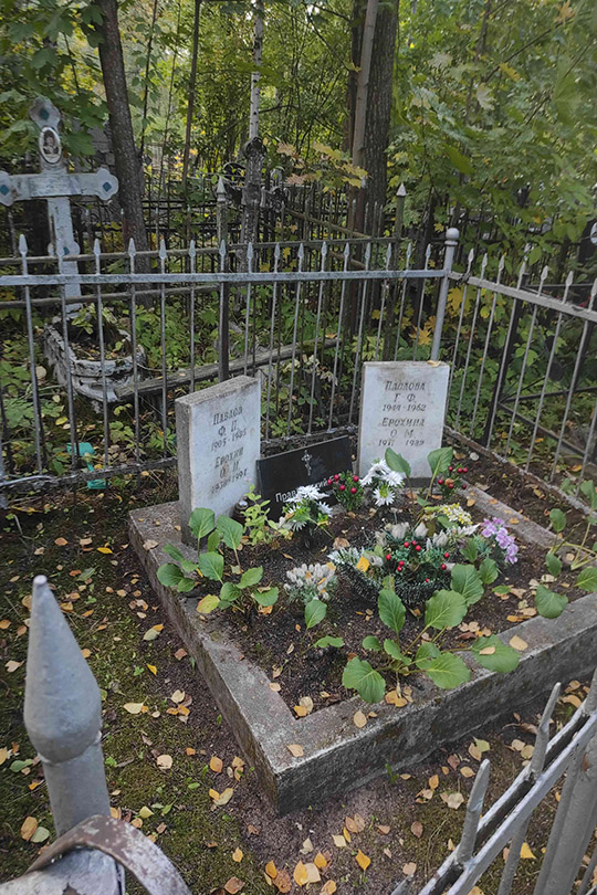Павлов Ф. П.