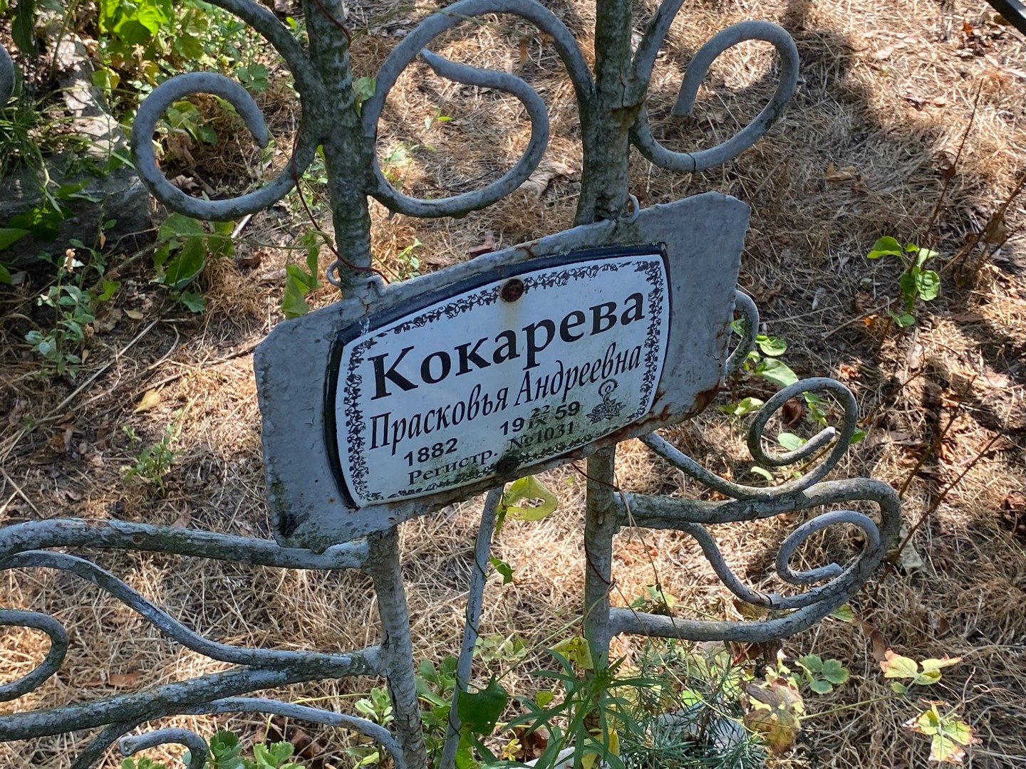 Кокарева Прасковья Андреевна