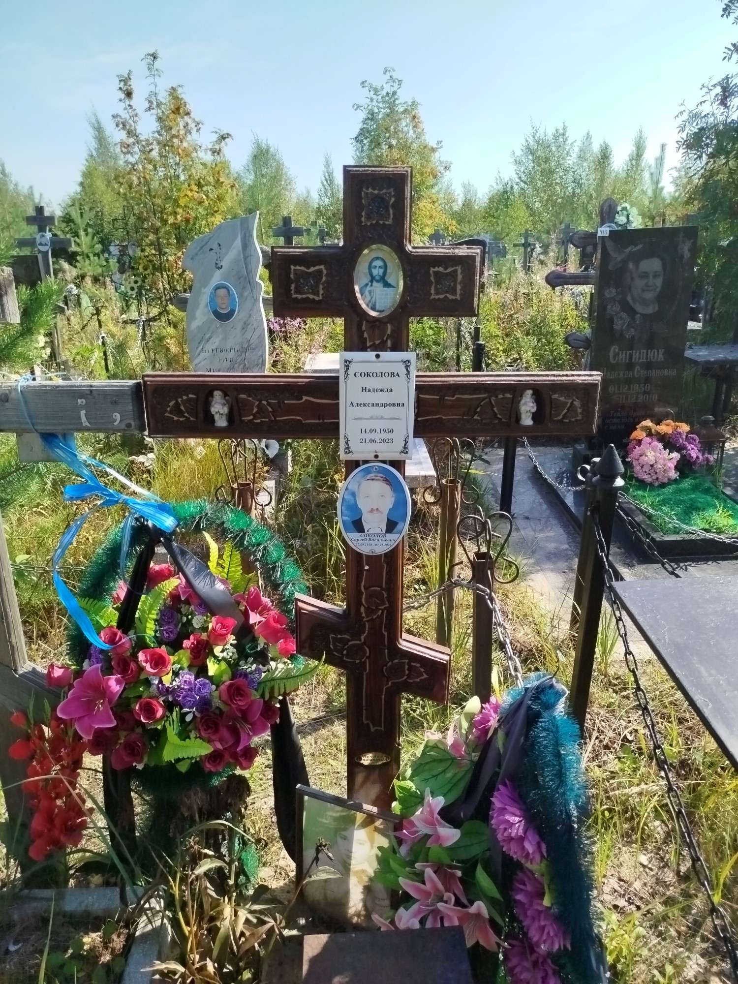 Соколова Надежда Александровна