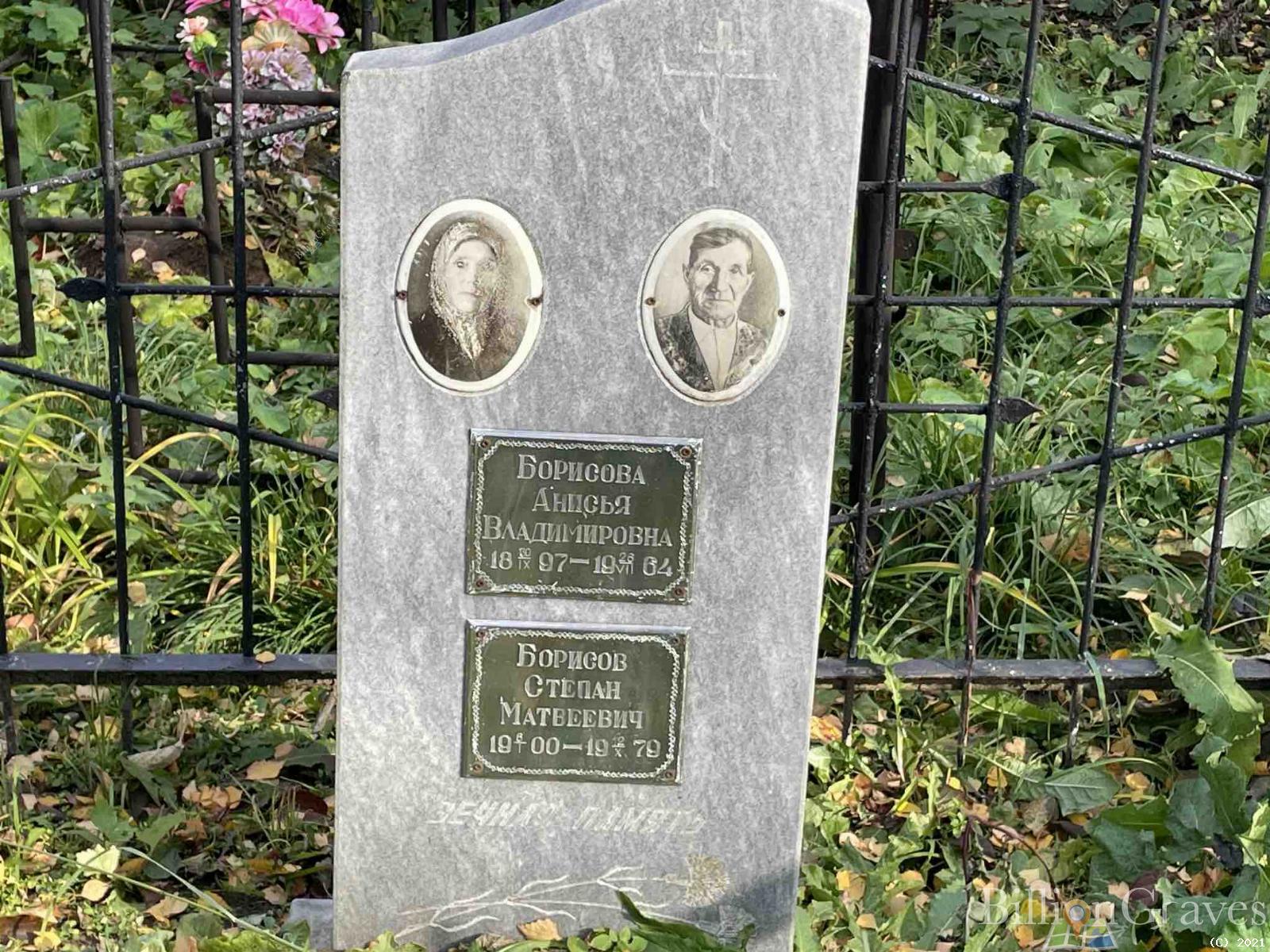 Борисова Анисья Владимировна