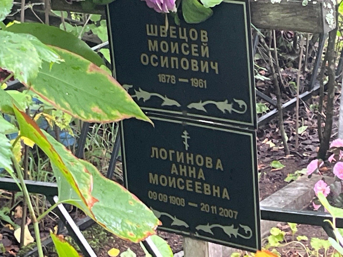 Моисей Швецов Осипович