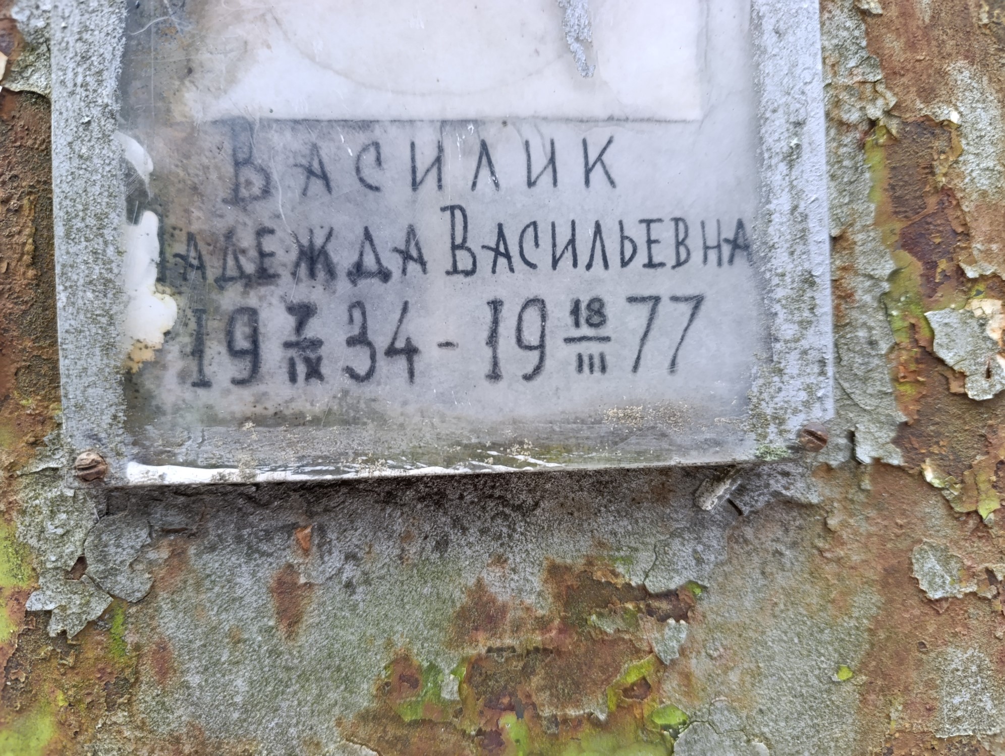 Василик Надежда Васильевна