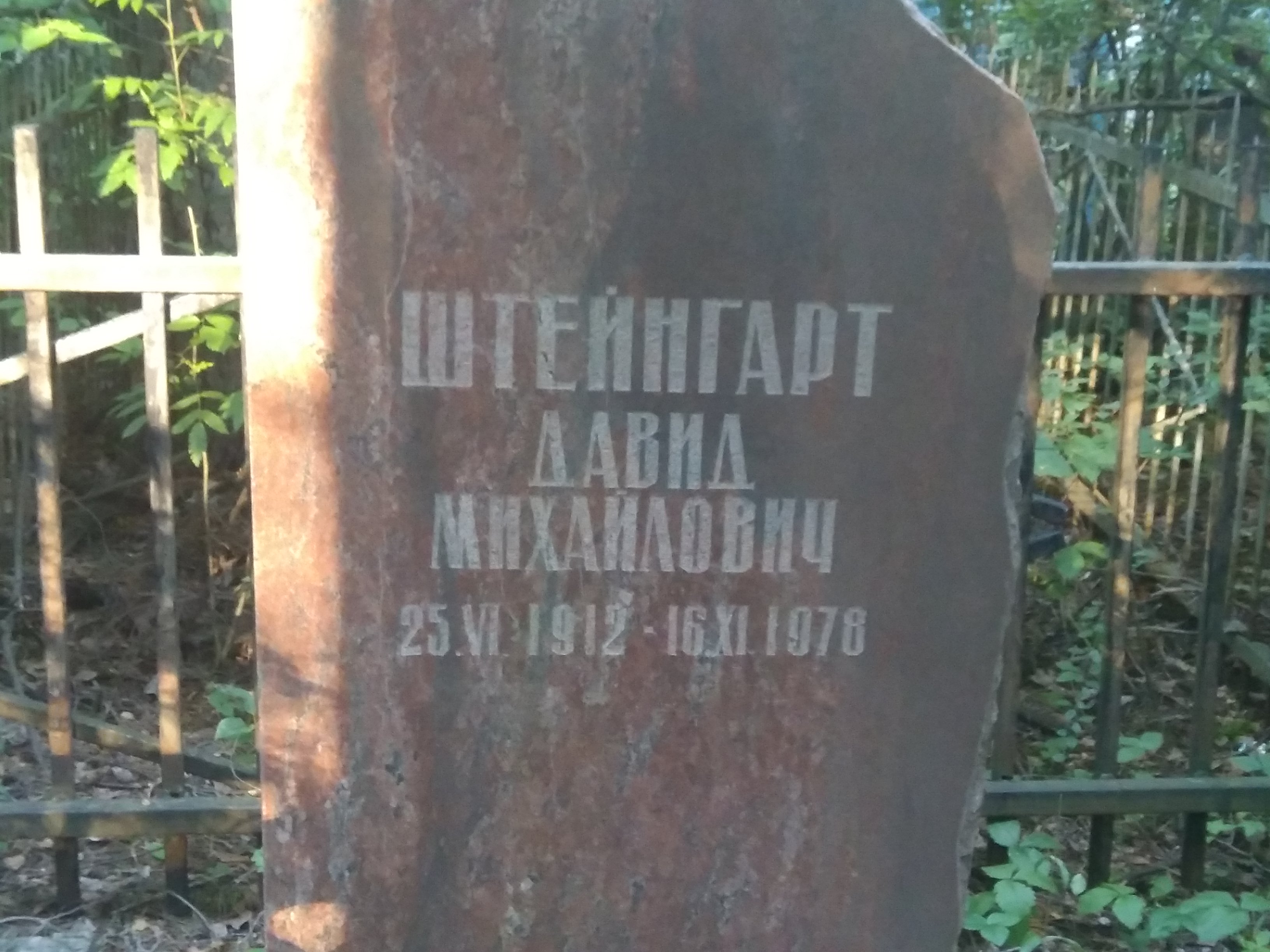 Штейнгард Давид Михайлович