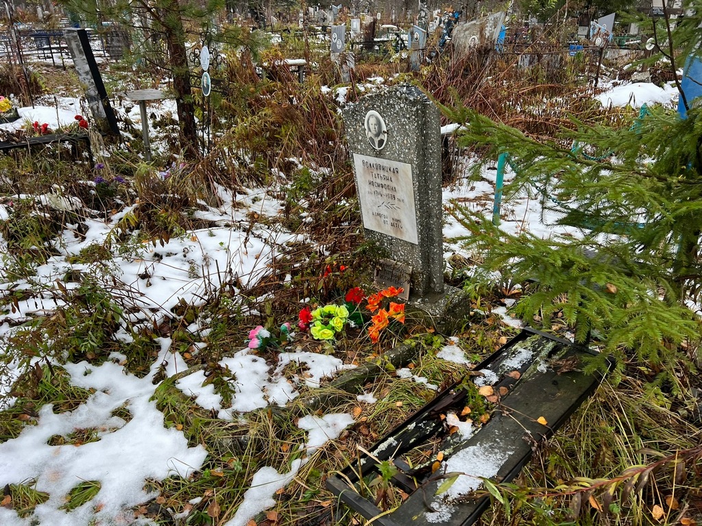Волковицкая Татьяна Иосифовна