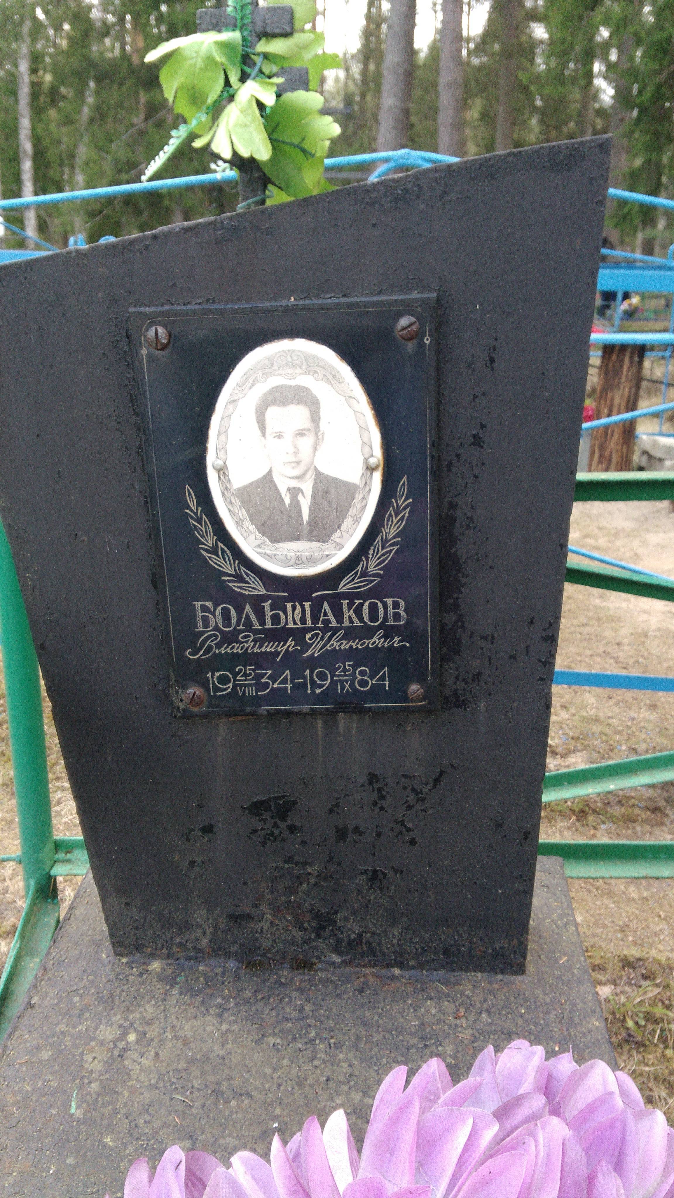 Большаков Владимир Иванович