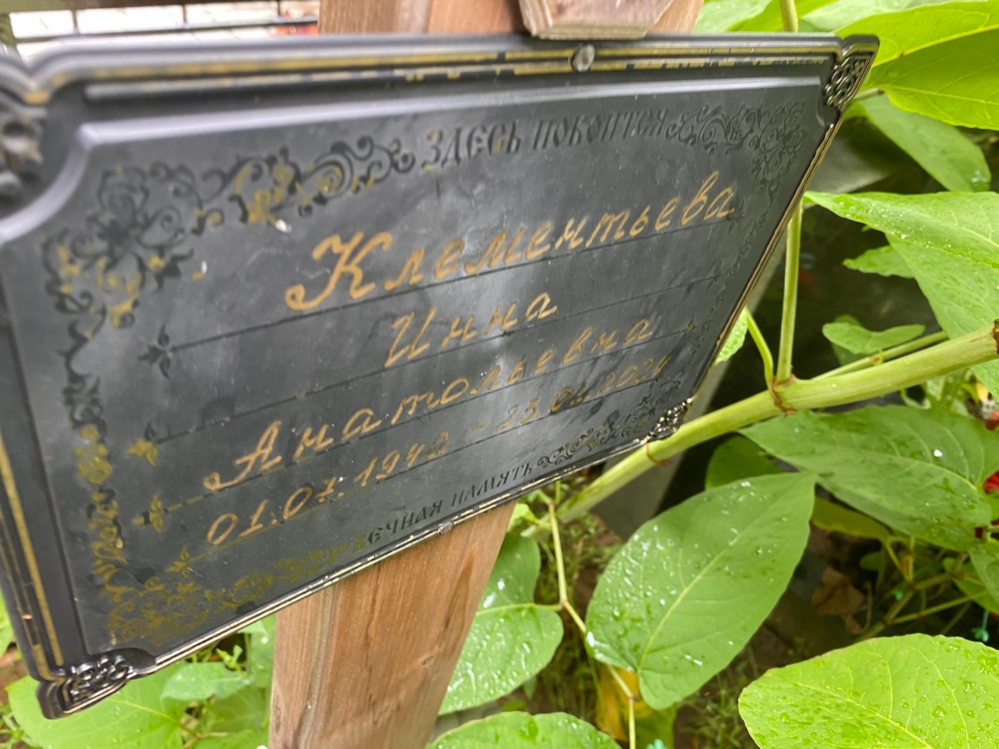 Инна Клементьева Анатольевна