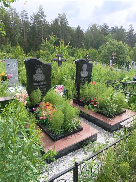 Добрынина Людмила Николаевна