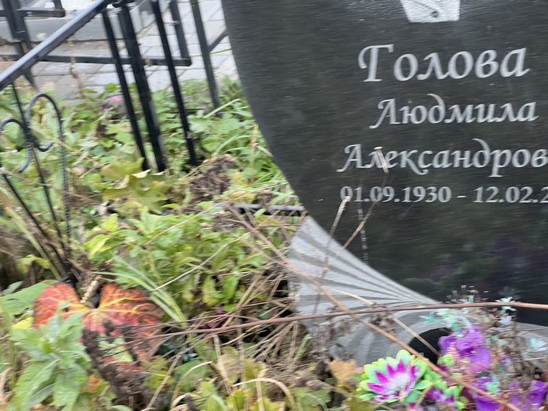 Голова