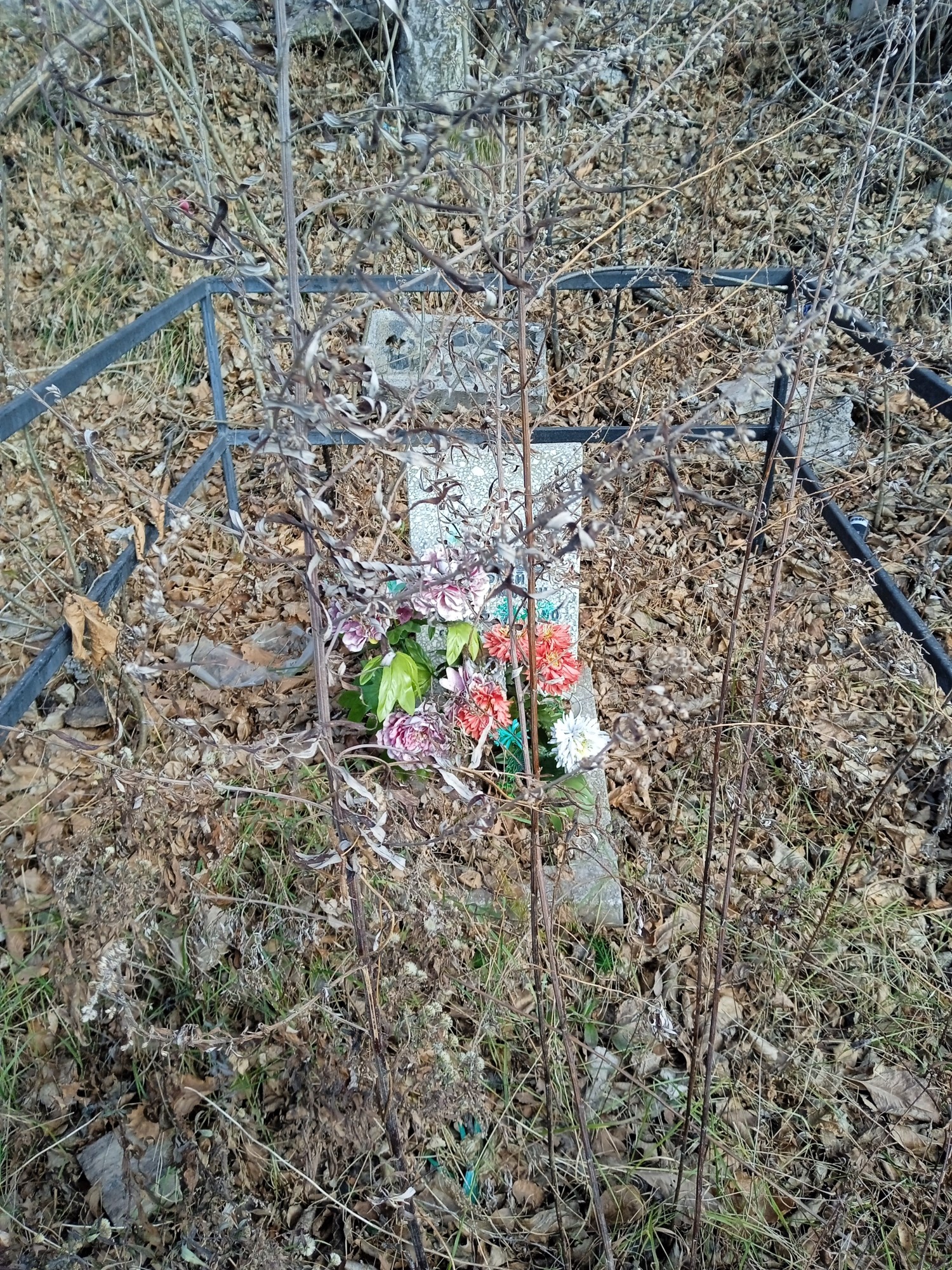 Донцов Сергей Трофимович